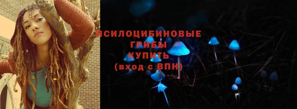a pvp Лиски