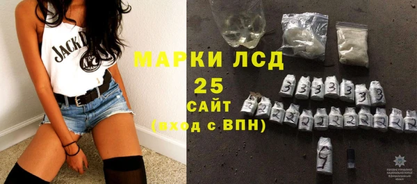 ПСИЛОЦИБИНОВЫЕ ГРИБЫ Магас