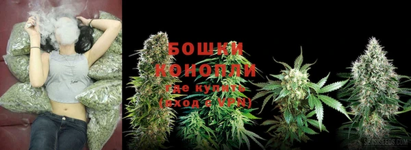 ПСИЛОЦИБИНОВЫЕ ГРИБЫ Магас