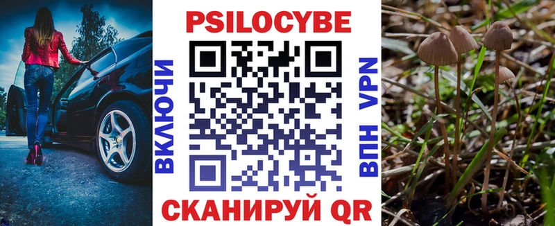 Псилоцибиновые грибы MAGIC MUSHROOMS  Купить где  Тырныауз 